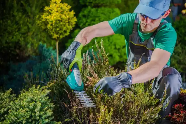 landscaping services Pataskala